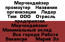 Мерчендайзер-промоутер › Название организации ­ Лидер Тим, ООО › Отрасль предприятия ­ Мерчендайзинг › Минимальный оклад ­ 27 000 - Все города Работа » Вакансии   . Марий Эл респ.,Йошкар-Ола г.